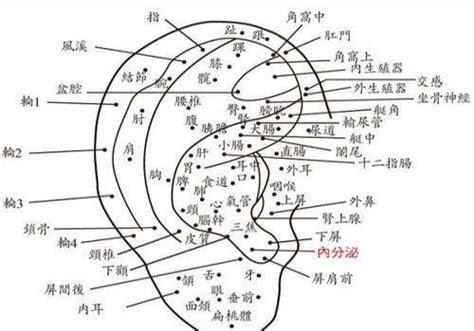 耳朵附近有痣|痣的位置与吉凶：耳朵周围有痣的吉与凶